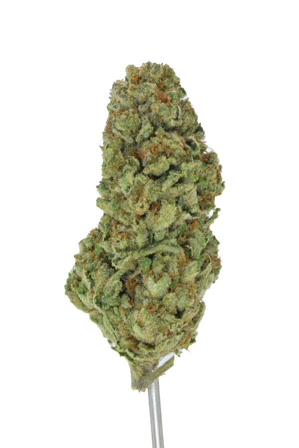 Icy Runtz THCa Flower - Image 3