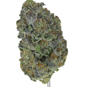 Megan Fox THCa Flower