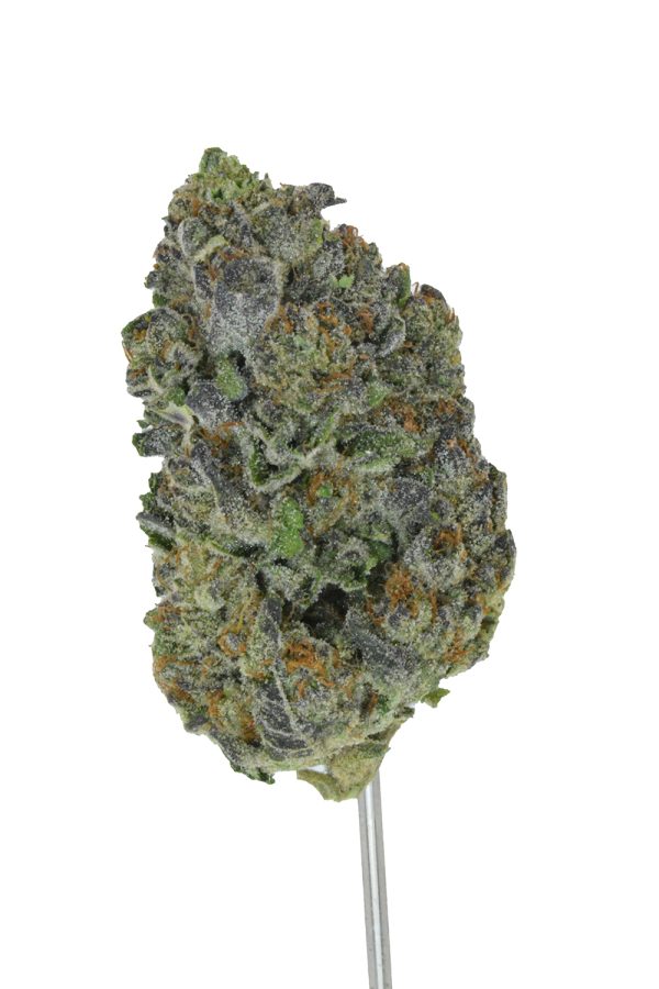 Megan Fox THCa Flower