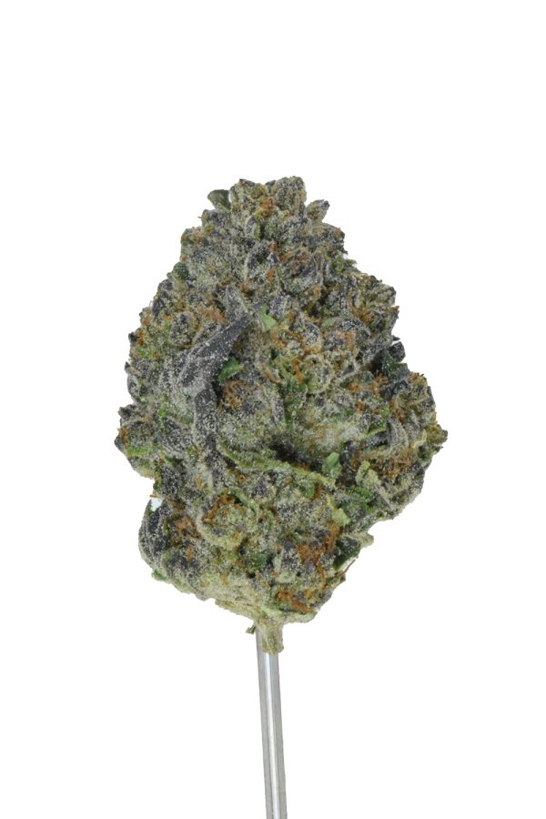 Megan Fox THCa Flower - Image 5