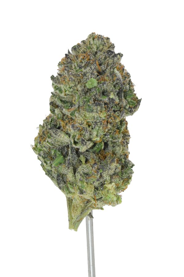 Megan Fox THCa Flower - Image 4