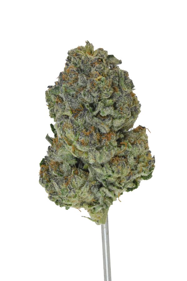 Megan Fox THCa Flower - Image 3