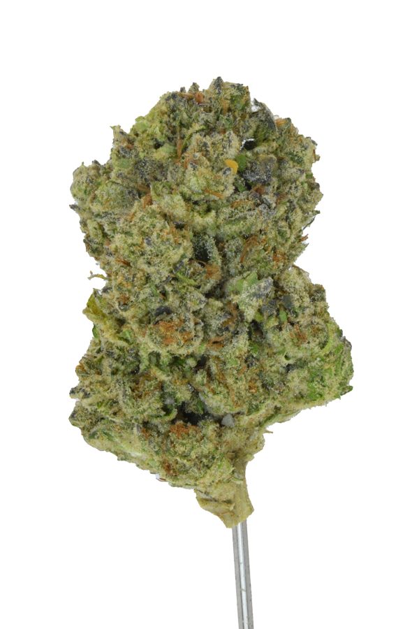 Pack Mule THCa Flower - Image 7