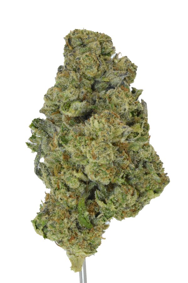 Pack Mule THCa Flower