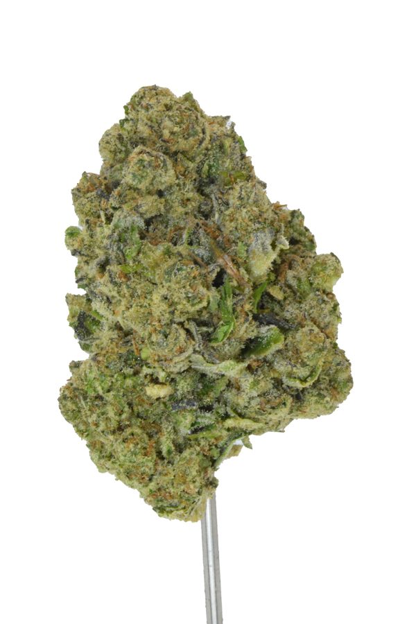 Pack Mule THCa Flower - Image 5