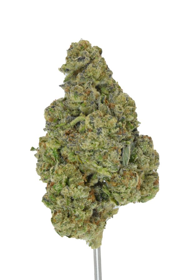 Pack Mule THCa Flower - Image 4