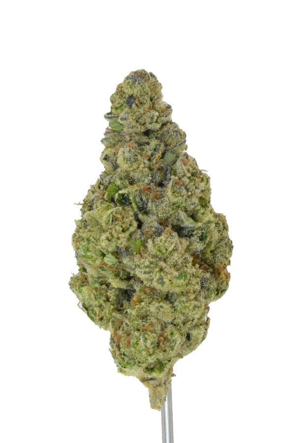 Pack Mule THCa Flower - Image 3