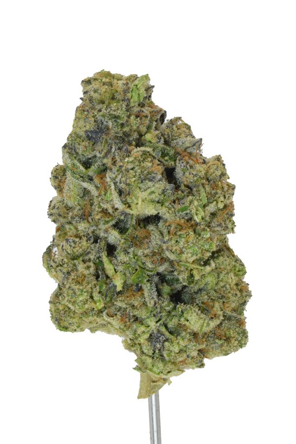 Pack Mule THCa Flower - Image 2