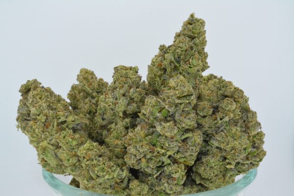 Pack Mule THCa Flower - Image 8