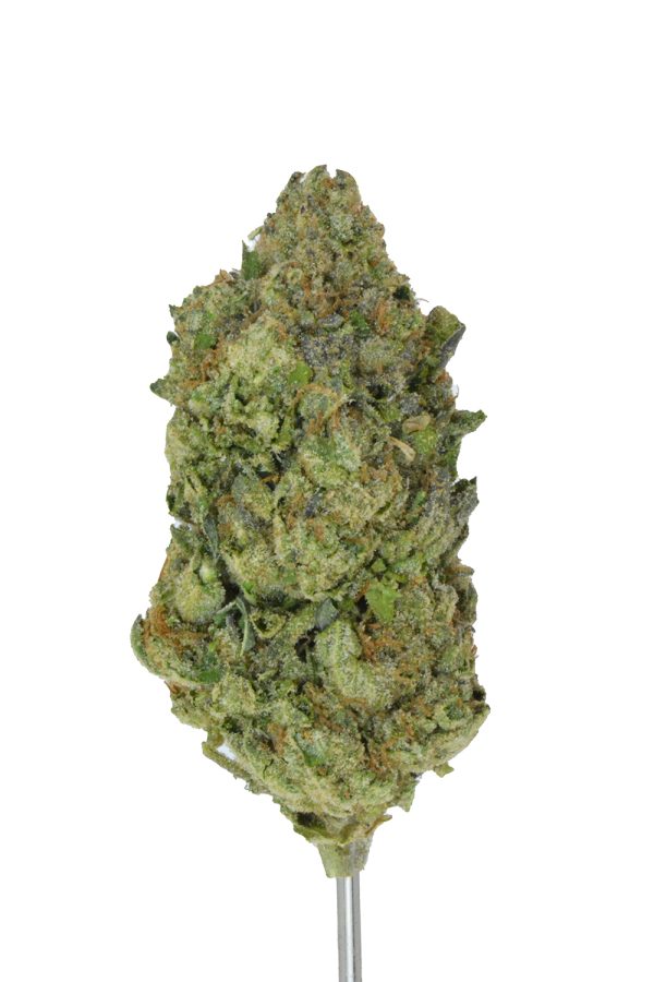 The Soap THCa Flower