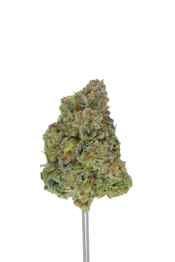 Gelonade THCa Flower - Image 3