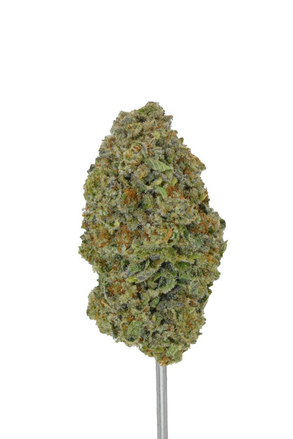 Gelonade THCa Flower