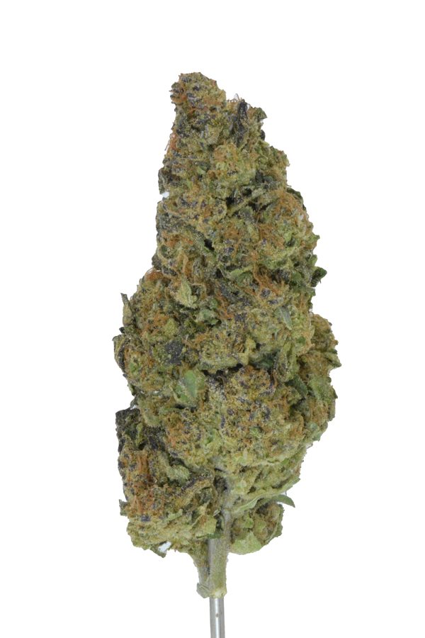Jelly Mints x Runtz THCa Flower